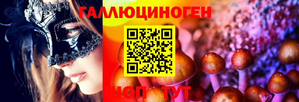 Белая Калитва  Галлюциногенные грибы Cubensis  Вход с VPN 
